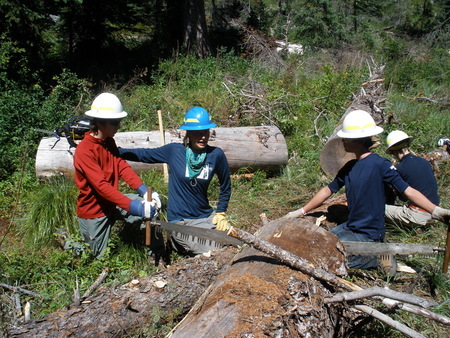 Rachel instructing-Sierra Club volunteers how to use the crosscut saw on Blodgett Canyon