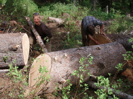 Rachel using a lever to move large chunks of log out of the trail on Big Creek trail.