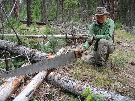 Crosscuting on the Clark Fork River Trail.