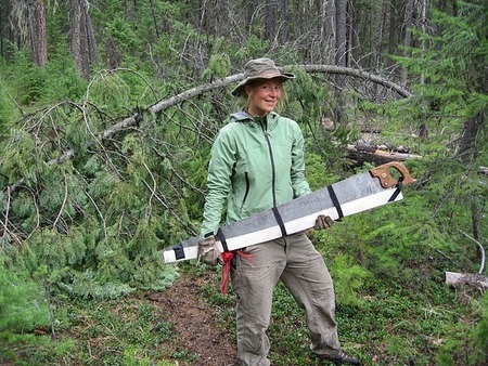 Crosscuting on the Clark Fork River Trail