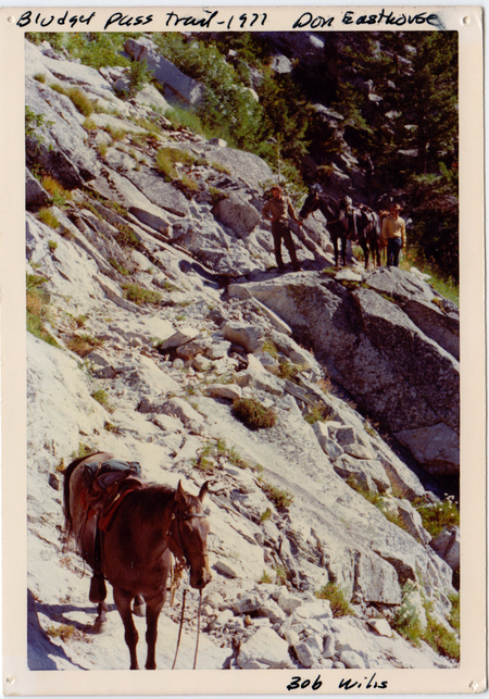 Blodget Pass Trail 1977