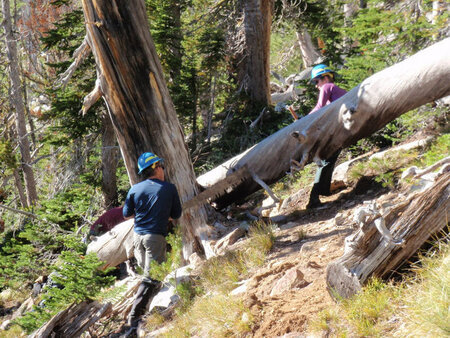 Leading a trail crew 2010