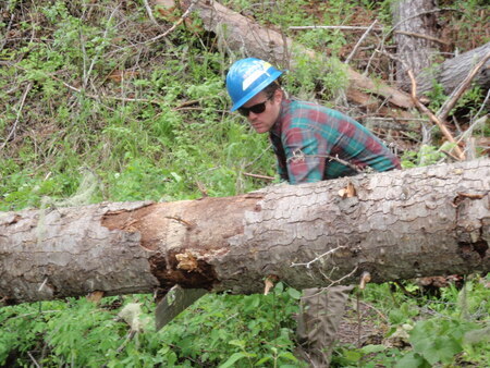 Eric under-bucking a tree along the Selway River Trail 4, Nez Perce NF, Moose Crek District, Selway-Bitterroot Wilderness