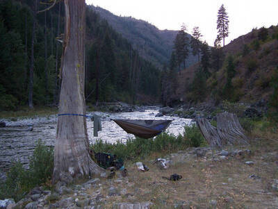 Hammock at Waldo bar