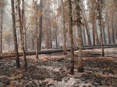 Ditch-Goat Fire 2012