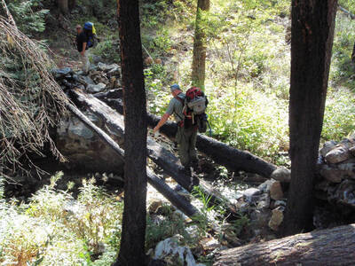 Dog Creek Pack bridge 2009