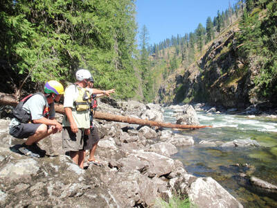 Guides Scouting Ham Rapid