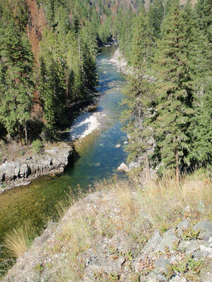 Selway River at Dog Creek