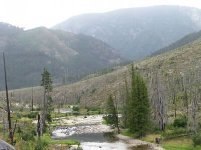 Bear Creek Above the salmon hole