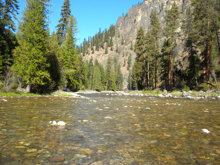 The beautiful, pristine Selway River, near Bear Creek, 2010. Photo courtesy Debbie Lee