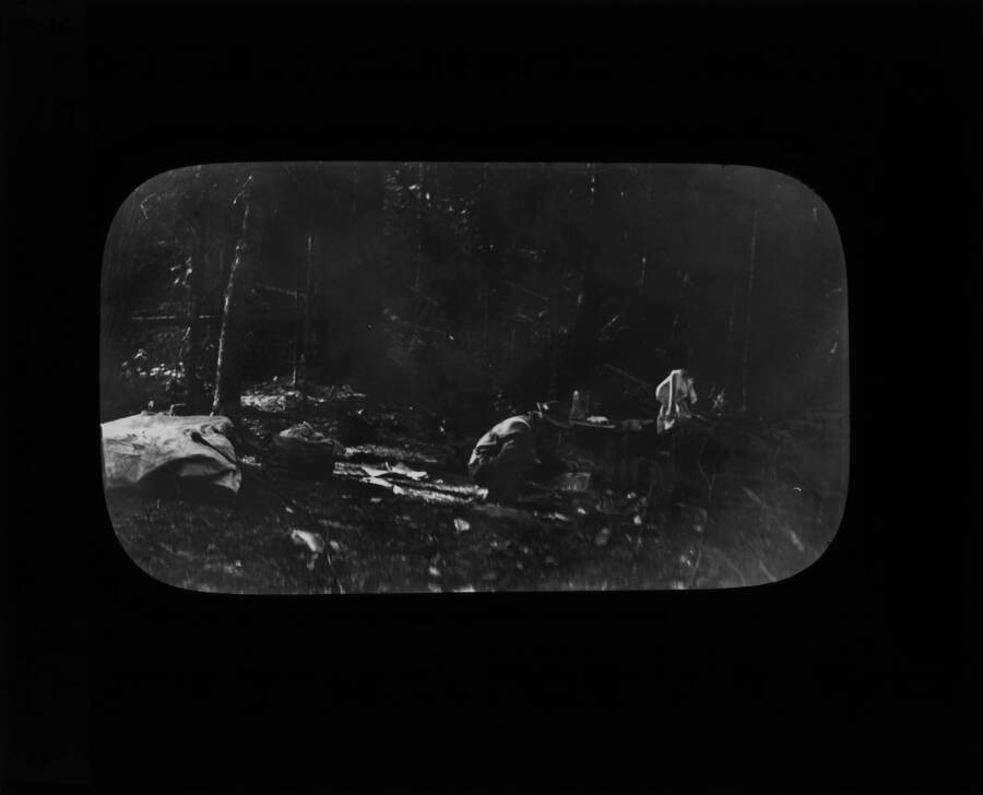 The glass slide reads: 'Friday and the bean pot. Glover's Camp. Selway N.F.'