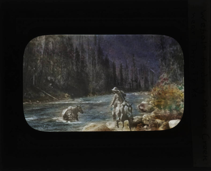 The glass slide reads: 'Weholt fording Moose Creek near Three Forks.'