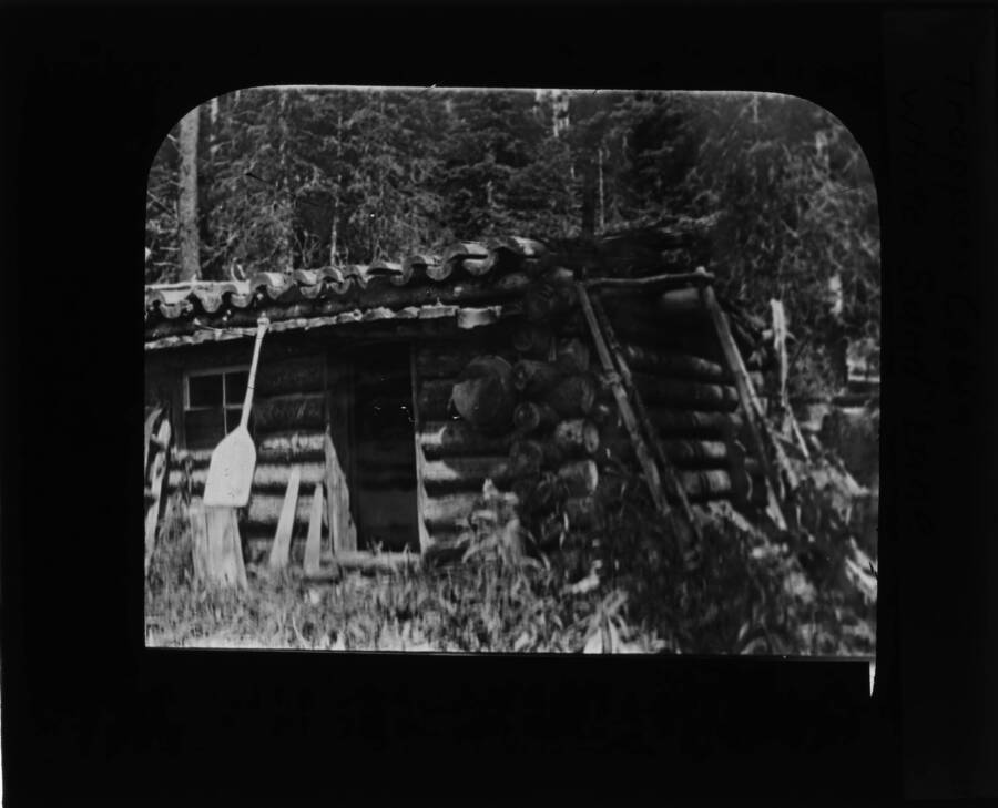 The glass slide reads: 'Trappers Cabin White Sand Lake.'