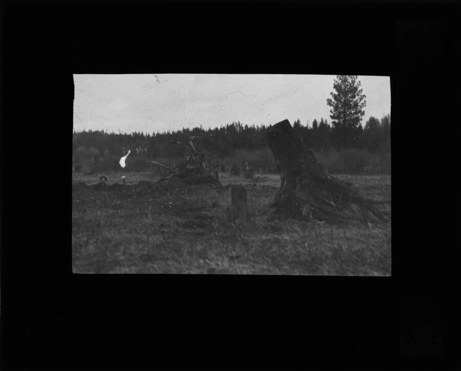 The glass slide reads: 'Same stump in Fig. 21. Charge was greater than was necessary. Fragments were removed 40 feet. Fig. 22.'