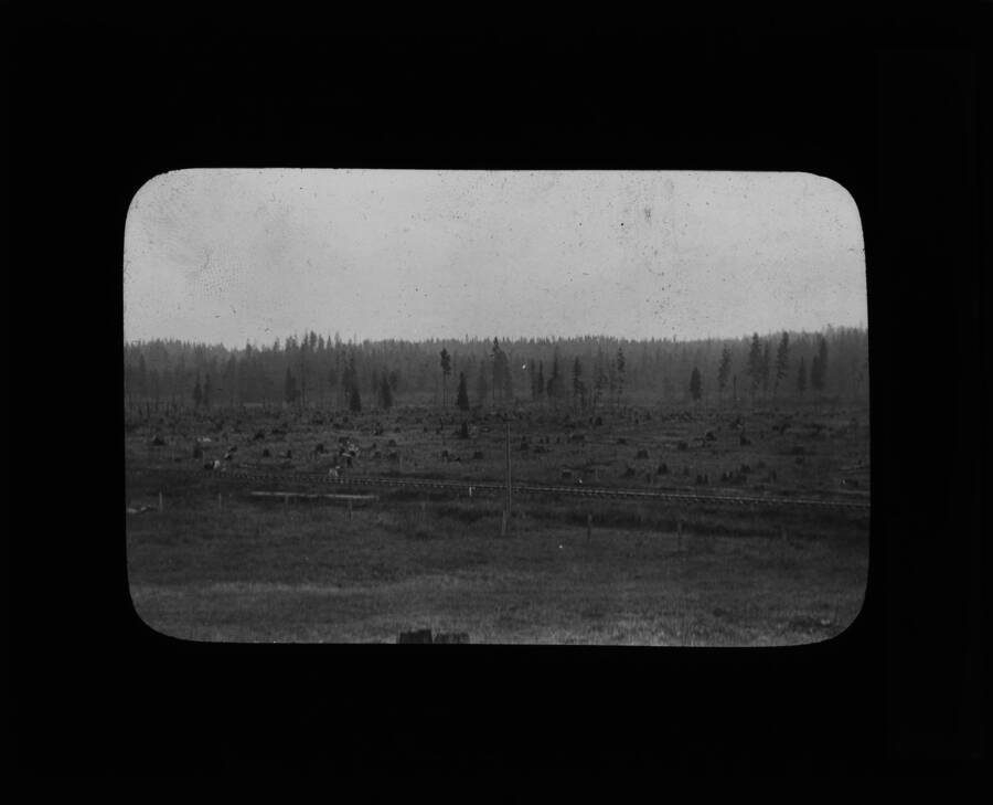The glass slide reads: 'Before and after clearning Palouse Valley land.'
