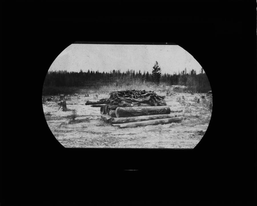 The glass slide reads: 'Proper method of pilling logs and debris for brurning. B 91.'