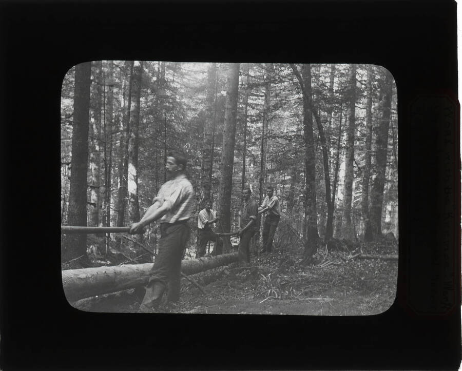 The glass slide reads: 'Work with the "Krempe." Working one log down to a road. Forest of spruce and fir.'