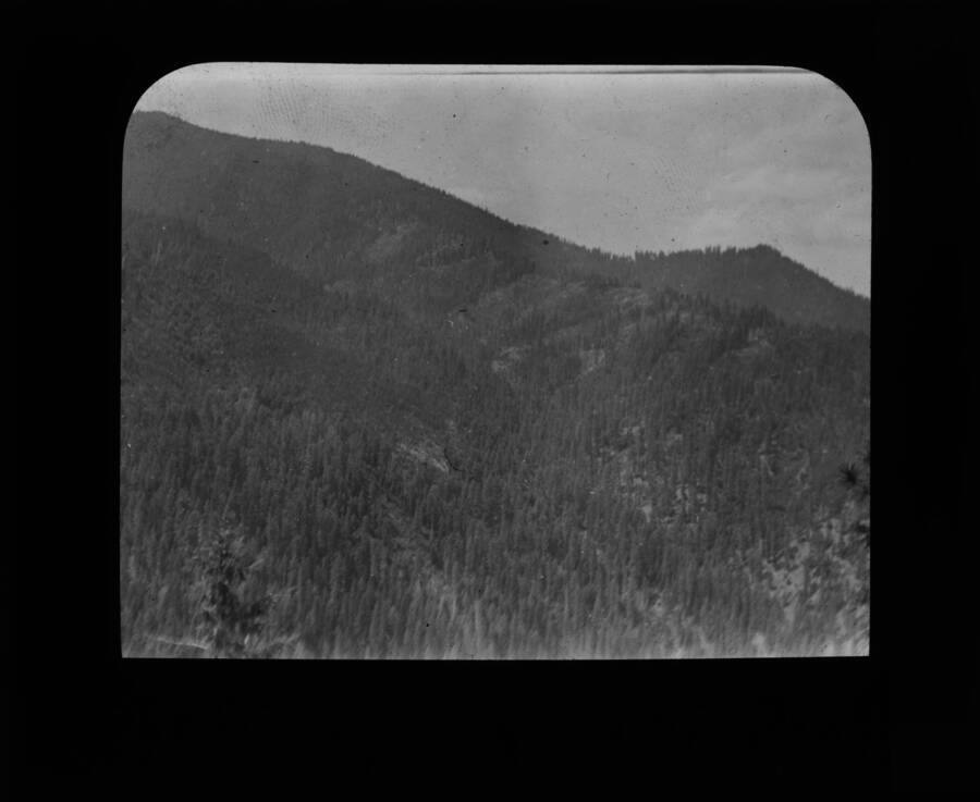 The glass slide reads: 'Bitterroot Mountains from 62 Camp Trail.'