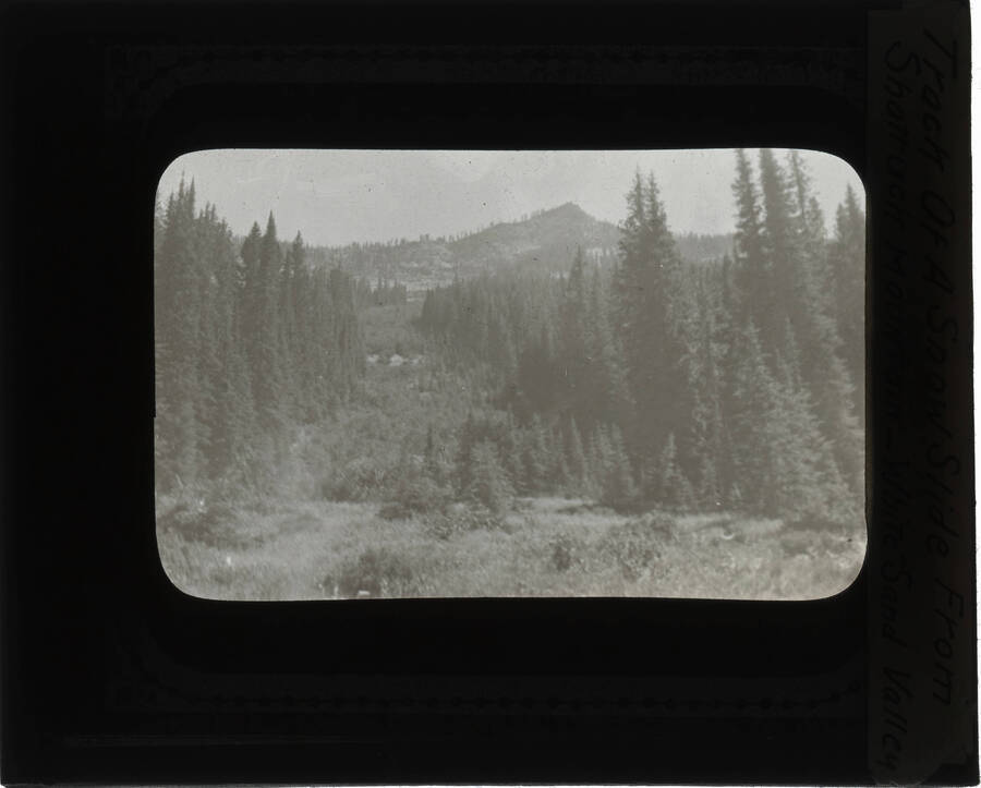 The glass slide reads: 'Track of a snow slide from Shattuck Mountain - White Sand Valley.'