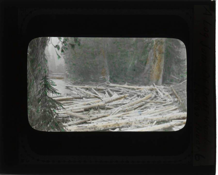 The glass slide reads: 'A Log Jam of Drift Wood. Locksa River.'