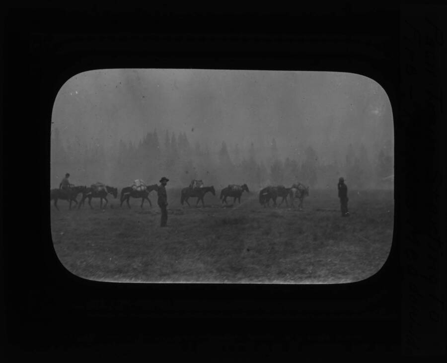 The glass slide reads: 'Pack train. Packers Meadows, Idaho.'