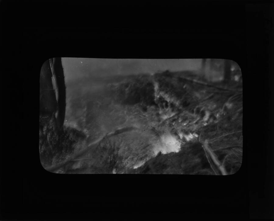 The glass slide reads: 'Fire near Powell, Fires, 1910.'