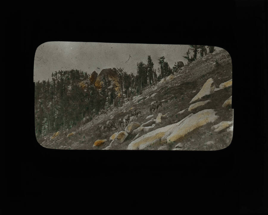 The glass slide reads: 'Climbing Gray's Peak with pack train.'