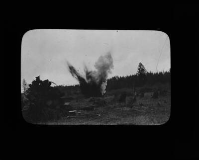The glass slide reads: 'The down logs and trash were piled before the stumps were removed. Fig, 2. Plot I.'