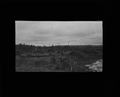 The glass slide reads: 'View across Plot I showing part of slough after it was cleaned out. Fig, 4. Plot I.'