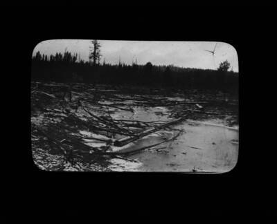 The glass slide reads: 'Slough containing much down stuff. Fig. 5. Plot I.'