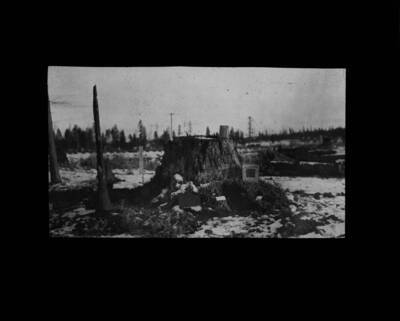 The glass slide reads: 'Yellow Pine, 72 in. diameter loaded with 20 lbs. Jexite Powder. Results perfect. Five segments in radius of 20 feet. Fig. 25.'