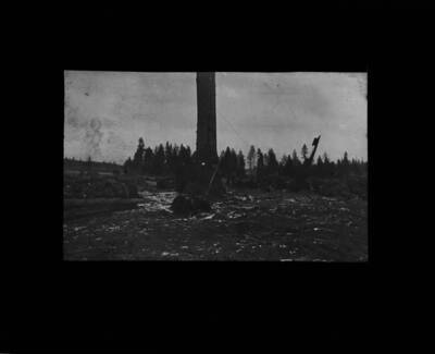 The glass slide reads: '56 inch green Larch (4 feet from ground). Loaded with 18 lbs. of dynamite. Fig. 27.'