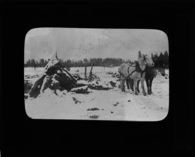 The glass slide reads: 'Much can be done with a team and heavy chain.'