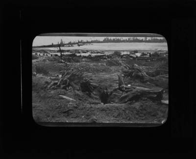 Unidentified man standing in hole of exploded stump. The glass slide reads: 'A large stump blasted. Just the right am't of powder used.'