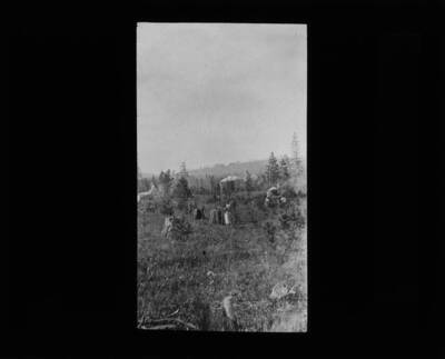 The glass slide reads: 'Various condensers used in collecting by-products from stumps. Bull. 91.'