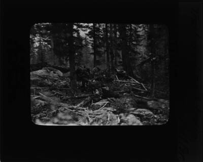 The glass slide reads: 'Trail and pack train. Selway Natl. For.'