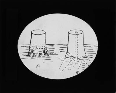 The glass slide reads: 'Two methods of preparing stumps for burning. A is best.'