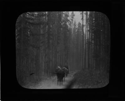 The glass slide reads: 'Crossing Lolo Pass. Montana.'