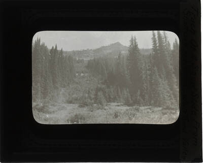 The glass slide reads: 'Track of a snow slide from Shattuck Mountain - White Sand Valley.'