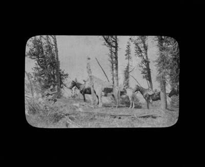 The glass slide reads: 'Lyall Larch and pack train at 8,200 ft - Grave Peak, Ida.'
