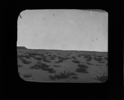 The glass slide reads: 'Desert and salicornia, Snake River Plain, Idaho.'