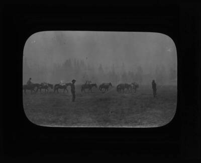 The glass slide reads: 'Pack train. Packers Meadows, Idaho.'