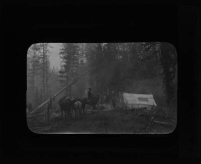 The glass slide reads: 'Relay Camp, Lolo Trail, Fires, 1910.'