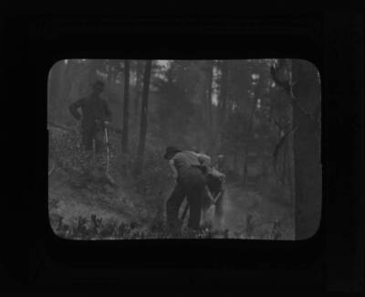 The glass slide reads: 'Shovel men, Lolo Hot Springs, Montana.'