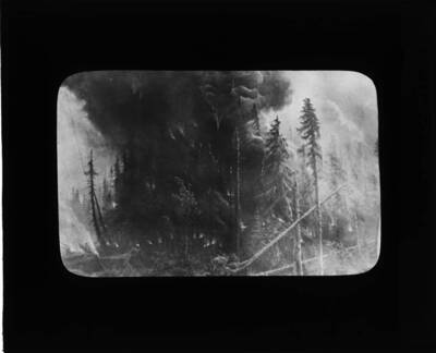 The glass slide reads: 'Forest fire (from painting).'