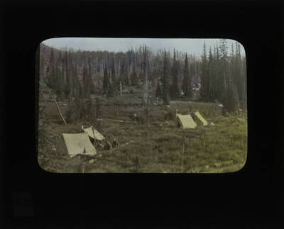 The glass slide reads: 'Alpine Meadow and Alpine Fir, Hoodo Lake.'