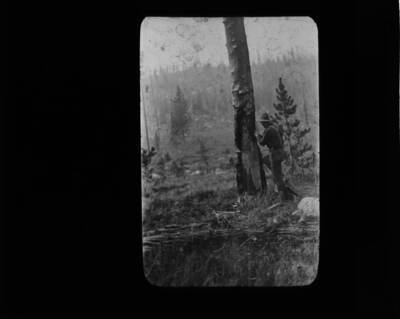 The glass slide reads: 'Determining age of fire scars, Ranger Fenn.'