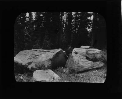 The glass slide reads: 'Combined action of gravity and vegetation in soil making, Grave Peak.'