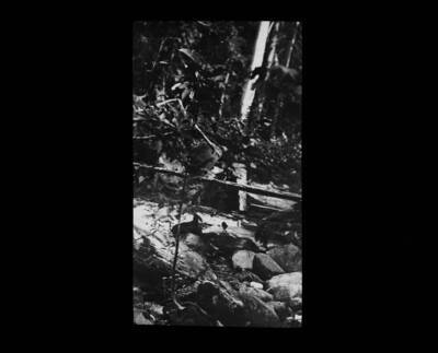 The glass slide reads: 'Rock fissured by young tree, Hughes Creek, Kaniksu National Forest.'
