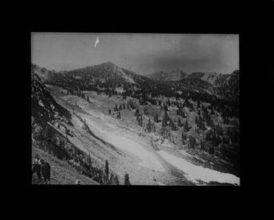 The glass slide reads: 'Concolor Fir, Rocky Mountains, Colorado.'